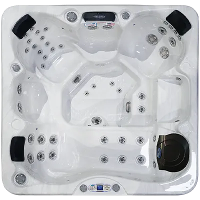 Avalon EC-849L hot tubs for sale in Fort Collins